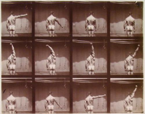 Albert Londe De l’estimation gratuite en ligne à la vente aux enchères de vos photographies anciennes, daguerréotypes et albums de photographies anciennes. Réponse d’un expert en 48H. Côte des photographes Albert Londe De l’estimation gratuite en ligne à la vente aux enchères de vos photographies anciennes, daguerréotypes et albums de photographies anciennes. Réponse d’un expert en 48H. Côte des photographes